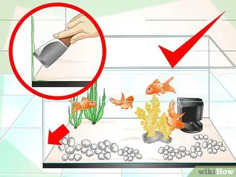 Image titled Keep Aquarium Water Clear Step 14