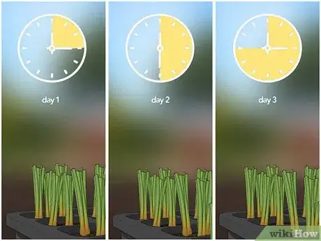 Image titled Plant Onions Step 10