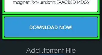 Open a Torrent