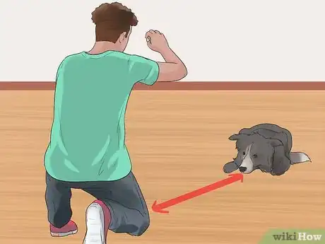 Image titled Teach a Dog to Crawl Step 11