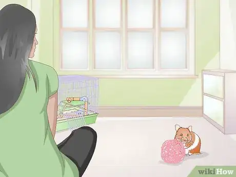 Image titled Make Your Hamster Happy Step 10