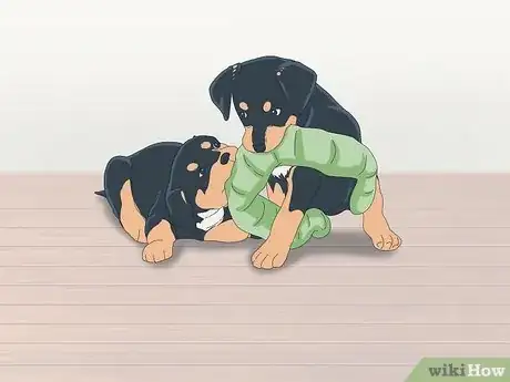 Image titled Make Sure That Your Dog Is Okay After Giving Birth Step 14