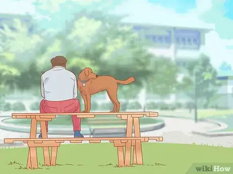 Image titled Introduce a Dog to a Dog Park Step 10