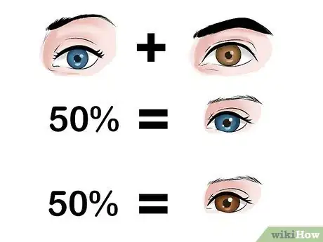 Image titled Predict Your Baby's Eye Color Step 12