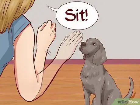 Image titled Teach Your Dog Basic Commands Step 3