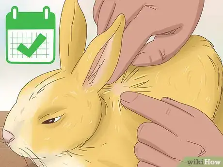Image titled Get Rid of Ticks on Rabbits Step 6
