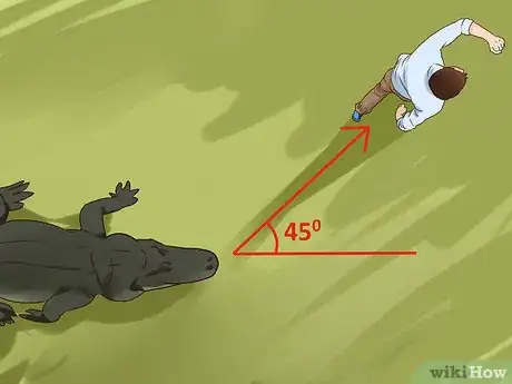 Image titled Avoid an Alligator Attack Step 15