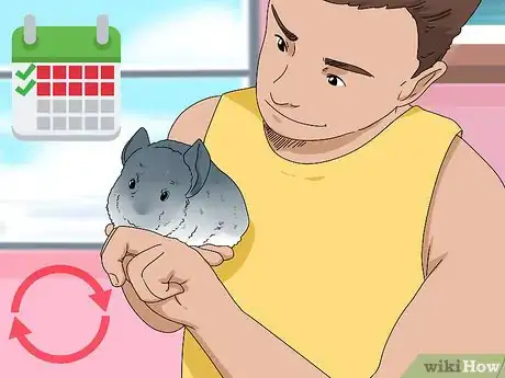 Image titled Deal with a Biting Chinchilla Step 4