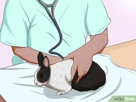 Image titled Care for New Zealand Rabbits Step 15