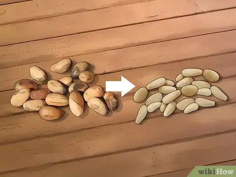 Image titled Harvest Pine Nuts Step 9