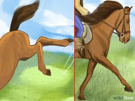 Image titled Bond With Your Horse Using Natural Horsemanship Step 5