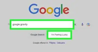 Do Google Gravity