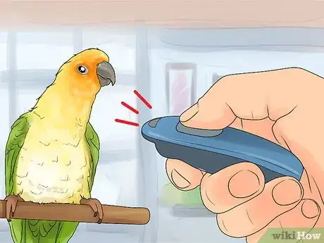Image titled Interact with Your Conure Step 11