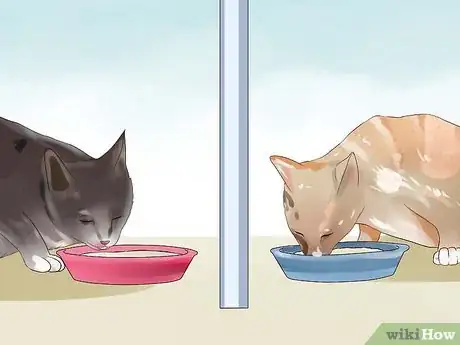 Image titled Introduce a New Cat to the Family Step 15