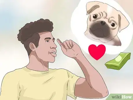 Image titled Breed Pugs Step 1