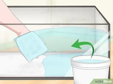 Image titled Get Rid of Mites on Snakes Step 11