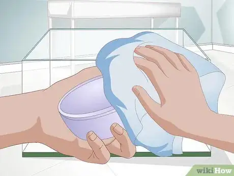 Image titled Clean a Hermit Crab Tank Step 10