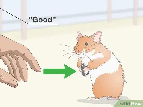 Image titled Teach a Hamster Tricks Step 4