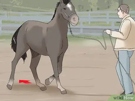 Image titled Teach Your Horse to Back up from the Ground Step 13