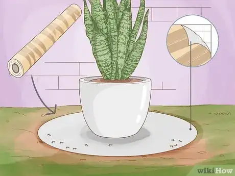 Image titled Remove Ants from Potted Plants Step 15