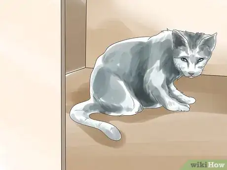 Image titled Tell if Your Cat Is Deaf Step 2