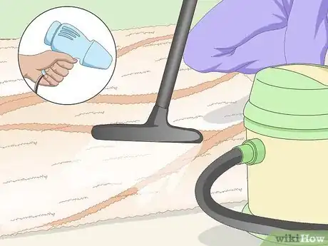Image titled Remove Dog Urine Step 7
