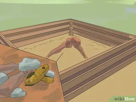Image titled Take Care of a Land Turtle Step 19