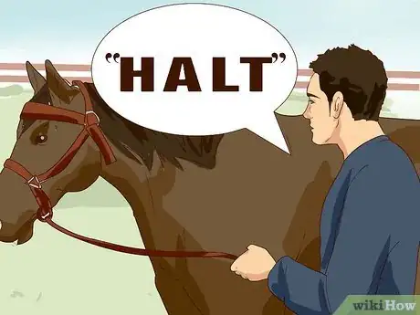 Image titled Break a Horse Step 15