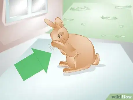 Image titled Tell if Your Rabbit Is Lonely Step 1
