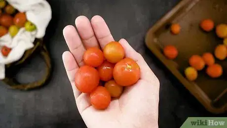 Image titled Freeze Cherry Tomatoes Step 12