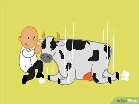 Image titled Get a Cow With Nerve Damage to Her Hind Legs from a Long Birth or Hard Pull to Stand Up Step 5