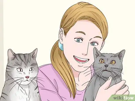 Image titled Get a Cat to Stop Meowing Step 9