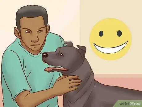 Image titled Get Your Dog's Attention Step 13