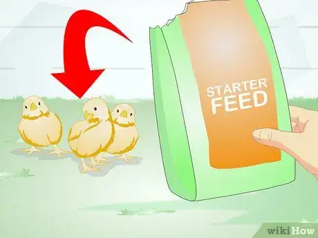 Image titled Feed Laying Hens Step 10