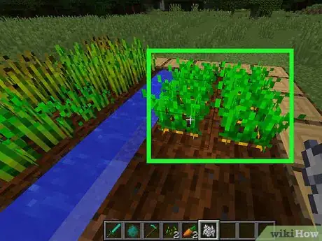 Image titled Get Carrots in Minecraft Step 7