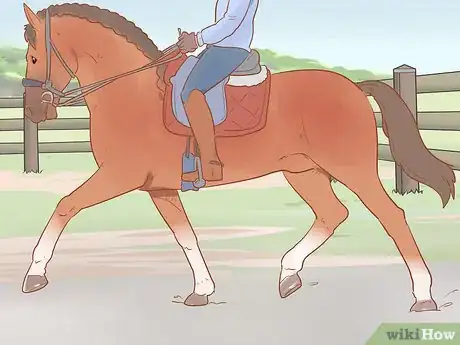 Image titled Judge a Horse Step 13