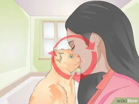 Image titled Teach Your Cat to Kiss Step 6
