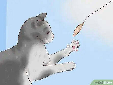 Image titled Discipline Cats Step 10