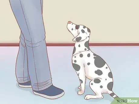 Image titled Get a Dog to Stop Whining Step 7