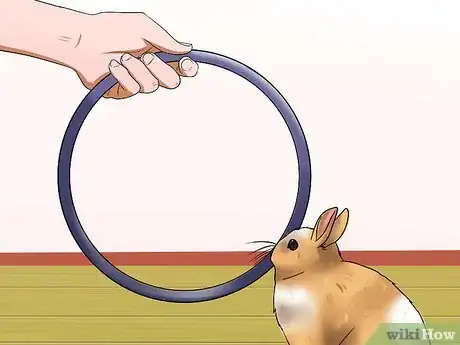 Image titled Teach Your Rabbit to Jump over Something Step 9