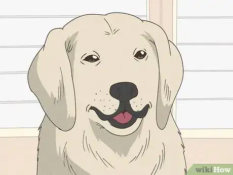 Image titled Why Do Dogs Sigh Step 11