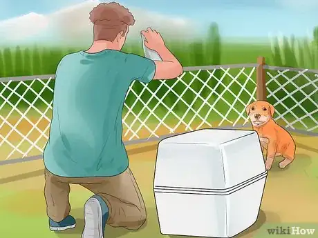Image titled Catch a Dog Step 4