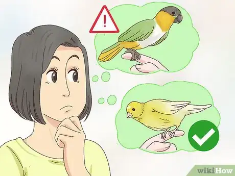 Image titled Choose a Caique Parrot Step 6