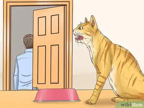 Image titled Get a Cat to Stop Meowing Step 2