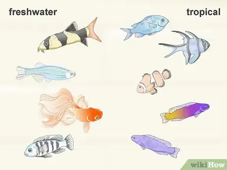 Image titled Take Care of Your Fish Step 1