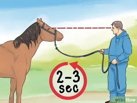 Image titled Discipline a Horse Without Using Aggression Step 1