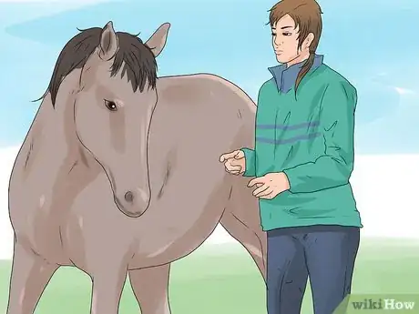 Image titled Approach Your Horse Step 5