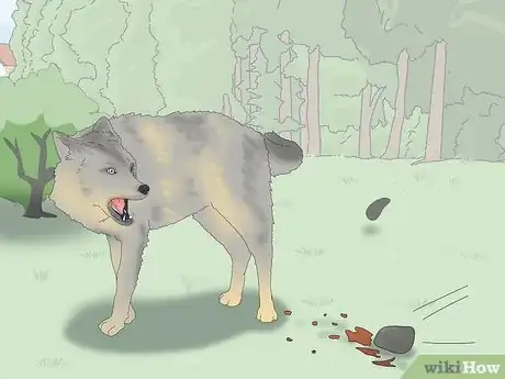 Image titled Survive a Coyote Attack Step 11
