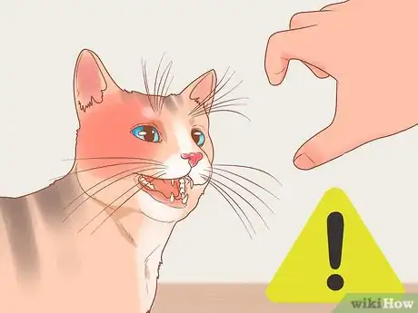 Image titled Stop a Cat from Biting or Scratching During Play Step 6