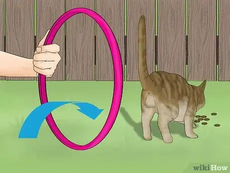 Image titled Train a Cat to Jump Through a Hoop Step 6